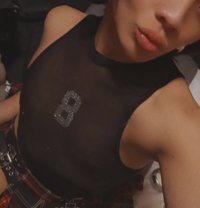Fed - Acompañantes transexual in Doha
