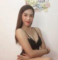 Hard Top Mistress - Transsexual escort in Manila