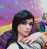 Mistress Feha with big dick - Transsexual escort in Dammam