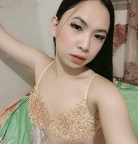 High-class GF experience - Transsexual escort in Angeles City