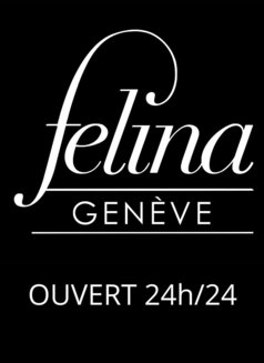 Felina Escort Geneve - escort agency in Geneva Photo 2 of 2
