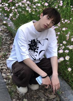 Felix - Acompañantes masculino in Bangkok Photo 3 of 13