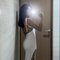 Femboy - Male escort in Bali