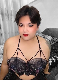 chubby sexy Thailand - Acompañantes transexual in Amman Photo 8 of 14