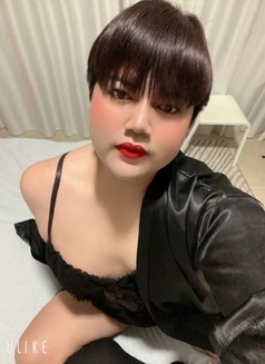 chubby sexy Thailand - Acompañantes transexual in Amman Photo 9 of 14