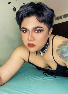 Femboy chubby sexy Thailand - Transsexual escort in Amman Photo 11 of 13