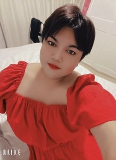 Femboy chubby sexy - Transsexual escort in Amman Photo 9 of 11