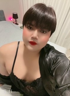 Femboy chubby sexy - Transsexual escort in Amman Photo 10 of 11