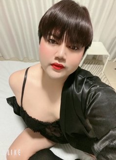 Femboy chubby sexy - Transsexual escort in Amman Photo 11 of 11