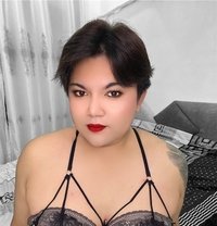 Femboy chubby sexy - Acompañantes transexual in Amman Photo 1 of 11