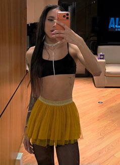 Alexa latina - Transsexual escort in İstanbul Photo 7 of 13