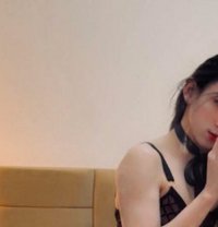 Femboy Farrah - Transsexual escort in Al Ain