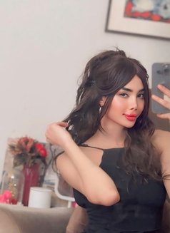 بلقيس Femboy - Transsexual escort in İstanbul Photo 5 of 5