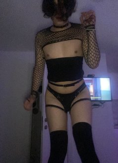 Femboy Sasha🇷🇺 - Male escort in Dubai Photo 8 of 11