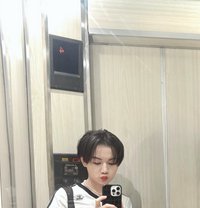 Femboy Star - Transsexual escort in Pattaya