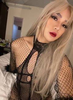 #New Philippines 🇵🇭 hot Crossdresser - Transsexual escort in Doha Photo 10 of 19