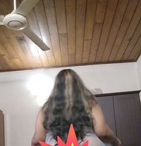 Femdom Bbw - Dominadora in Colombo