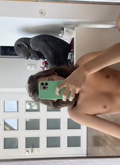 Femdream - Transsexual escort in Dubai Photo 2 of 3