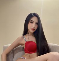 Feminine hot shemale available - Transsexual escort in Riyadh