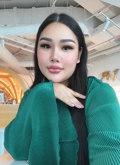 Feminine ladyboy - Acompañantes transexual in Riyadh Photo 10 of 16