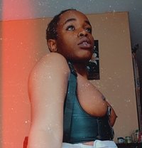 Vanilla, face sitting ,video ,rimming - Transsexual escort in Nairobi