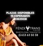Fenixtransbcn - Transsexual escort in Barcelona Photo 1 of 1