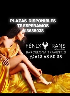 Fenixtransbcn - Transsexual escort in Barcelona Photo 1 of 1