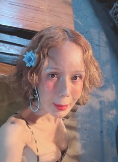 Fern - escort in Chiang Mai Photo 2 of 5