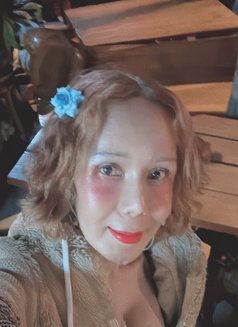 Fern - escort in Chiang Mai Photo 4 of 5