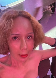 Fern - puta in Chiang Mai Photo 12 of 14