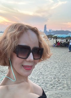 Fern - escort in Ko Samui Photo 10 of 11