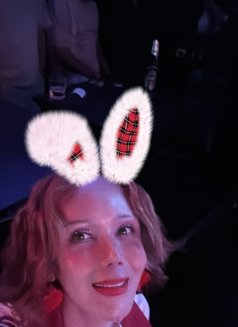 Fern - escort in Ko Samui Photo 11 of 11