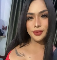 Fern - escort in Surat Thani