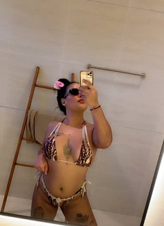 Fern Thai - escort in Ko Samui Photo 12 of 14
