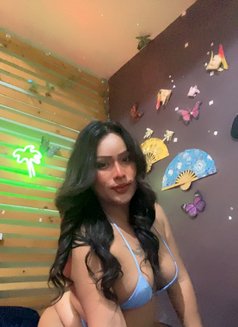 Fern Thai - escort in Ko Samui Photo 16 of 16