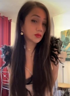 Fernanda - Transsexual escort in Paris Photo 13 of 17