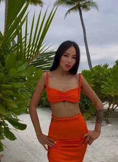 Fernanda - escort in Dubai Photo 6 of 29
