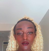 Fernanda - Transsexual escort in Nairobi