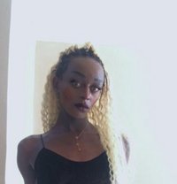 Fernanda - Acompañantes transexual in Nairobi