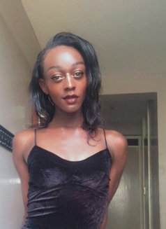 Sissy - Transsexual escort in Nairobi Photo 4 of 6