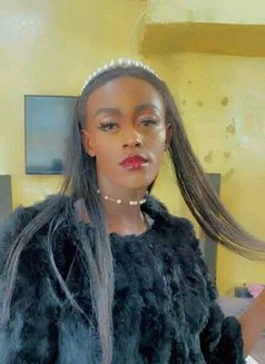 Sissy - Transsexual escort in Nairobi Photo 5 of 6