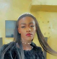 Sissy - Transsexual escort in Nairobi