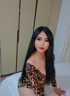 Feruze - puta in Muscat Photo 9 of 14