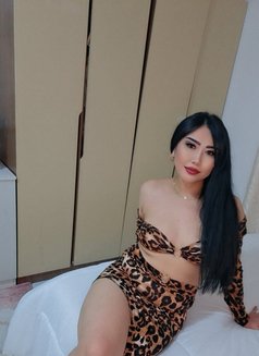 Feruze - puta in Muscat Photo 11 of 14