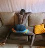 voi kenya - Male adult performer in Mombasa Photo 1 of 4