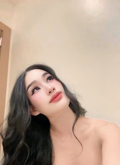 FeyFey Full service - Transsexual escort in As Sīb al Jadīdah Photo 12 of 15
