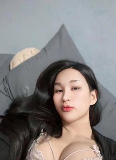 FeyFey Full service - Transsexual escort in As Sīb al Jadīdah Photo 13 of 15