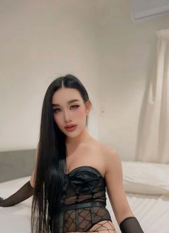 FeyFey Full service - Transsexual escort in Riyadh Photo 14 of 21
