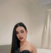 FeyFey Full service - Transsexual escort in Riyadh