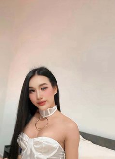 FeyFey Full service - Transsexual escort in Riyadh Photo 15 of 21